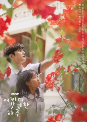 Extraordinary You drama poster