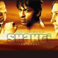 Sinopsis Film Shakti: The Power (2002)
