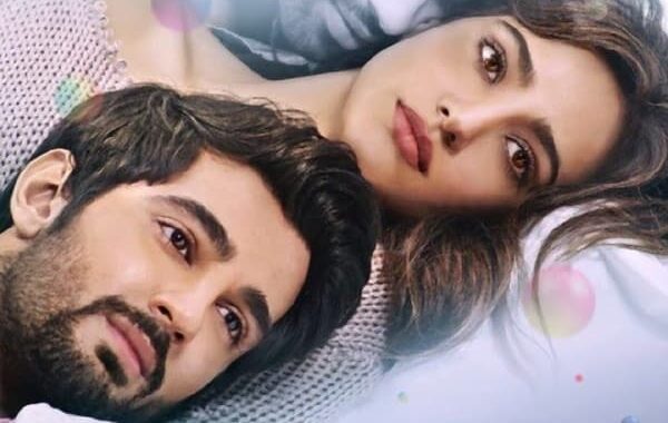 Sinopsis Film Tum Bin 2 (2016)