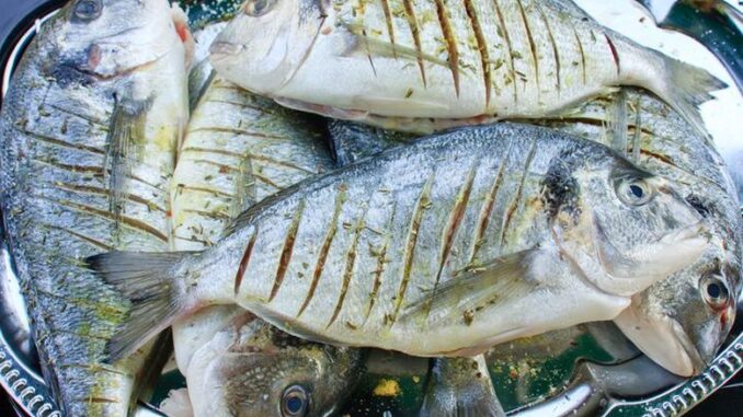 Perkecil Resiko Kanker Usus dengan Makan Ikan