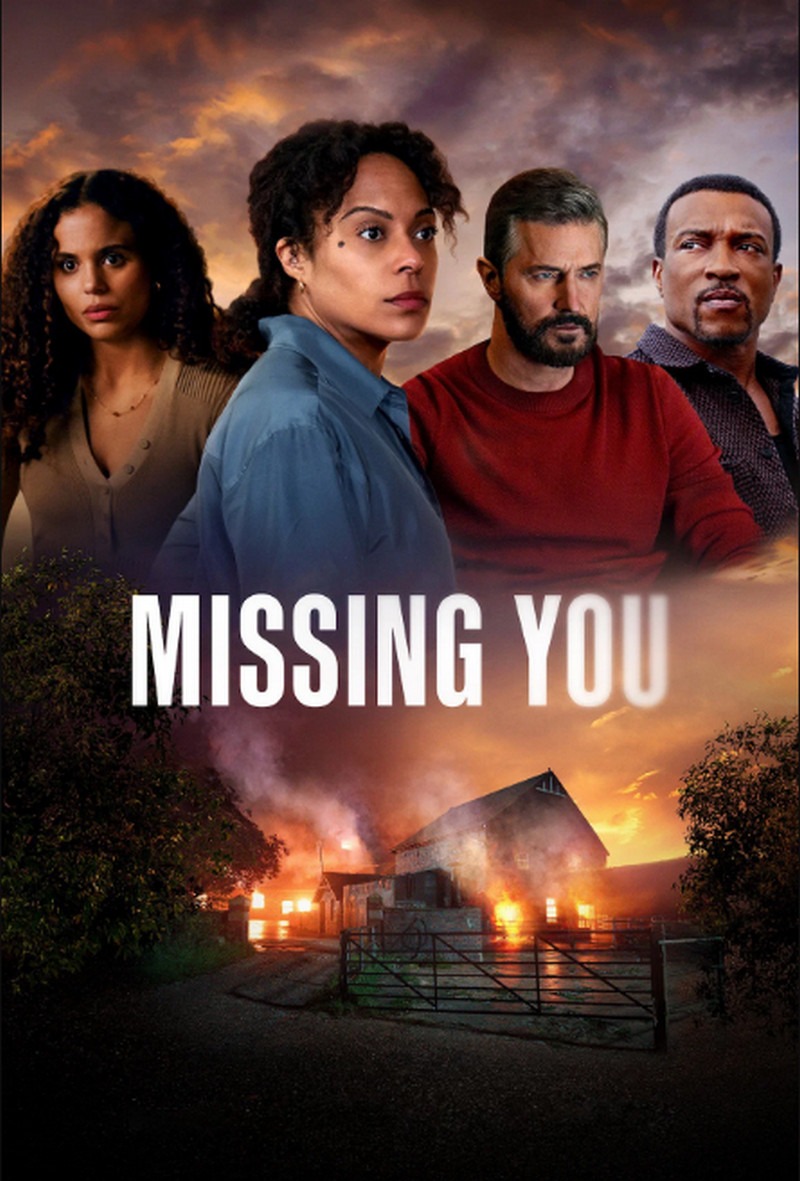 11 Shows to Watch After "I Will Find You" If the Post-Series Dread Won't Let You Go 8 Missing You (2025)