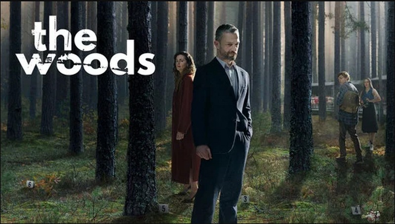 11 Shows to Watch After "I Will Find You" If the Post-Series Dread Won't Let You Go 12 The Woods (2020) - 11 Shows to Watch After I Will Find You