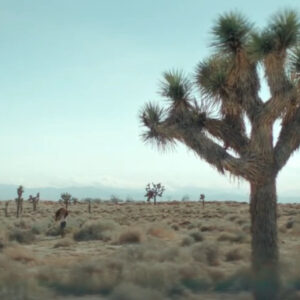 Lucky Season 1 Episode 2 “Make ’em Dance” Recap: Lucky Sets a Truck (and a Con) on Fire