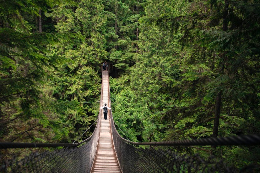 Where Was Netflix's Avatar: The Last Airbender Filmed? A Travel Guide to Every Real Location 10 Lynn Canyon Park and Port Moody