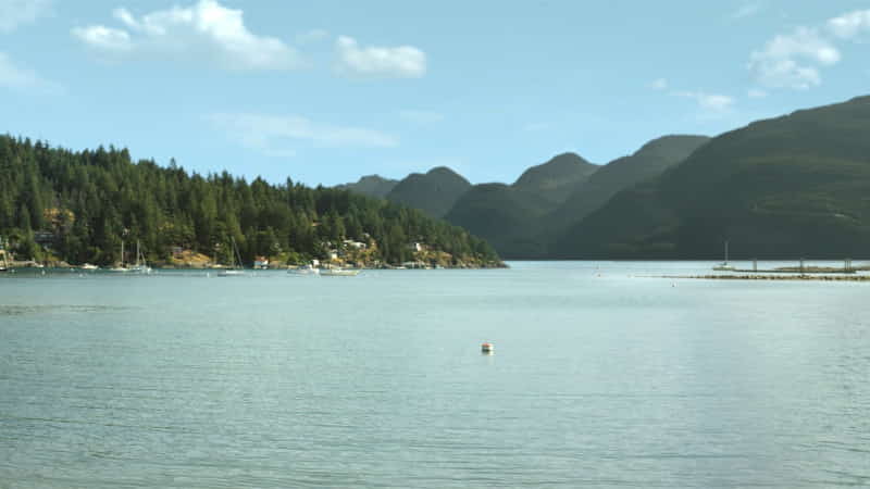 Snug Cove