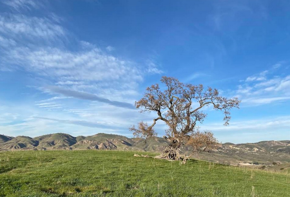 Big Sky Movie Ranch Simi Valley 4