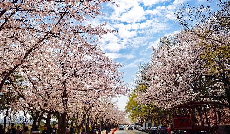 Yeouido Hangang Park Outdoor and Walking Scenes 2