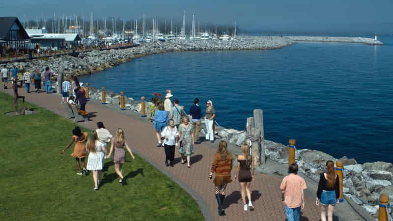 Eagle's Cove Marina Party (Sidney Waterfront)
