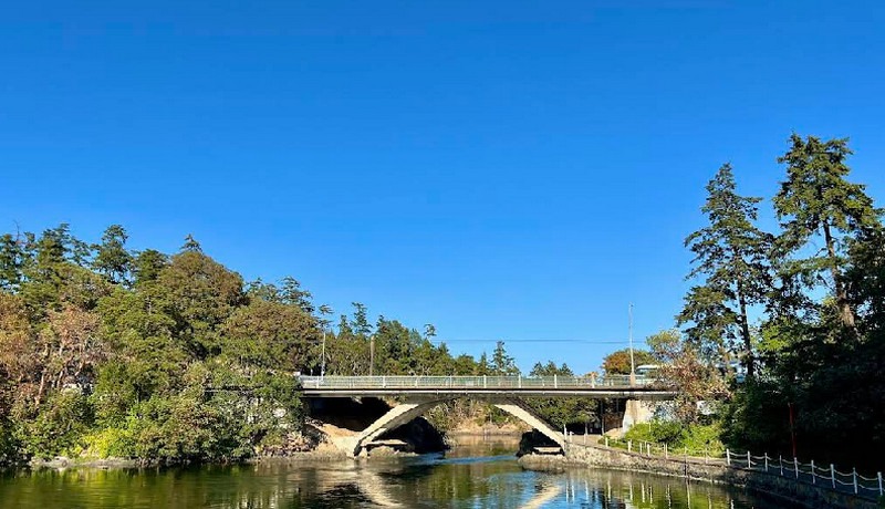 Head of the Laurence Regatta (Tillicum Road Bridge, Gorge Waterway)